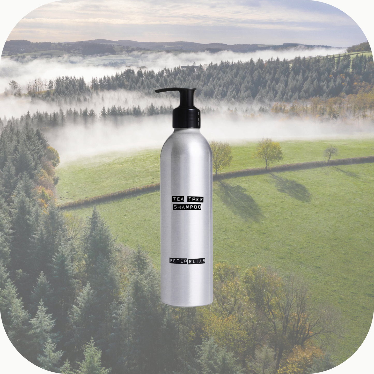 BALANCING CLEAN - Tea Tree Shampoo