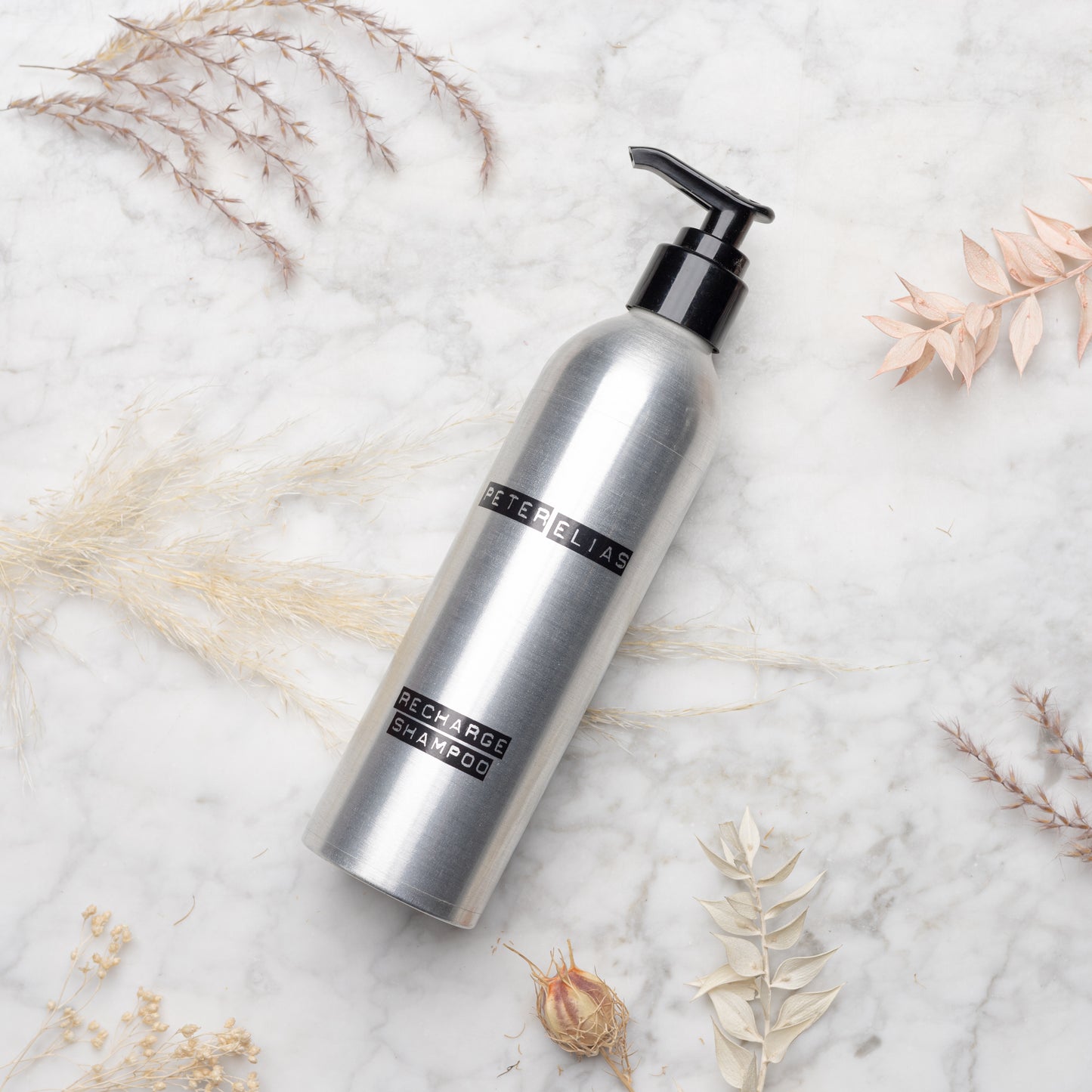 Recharge Shampoo