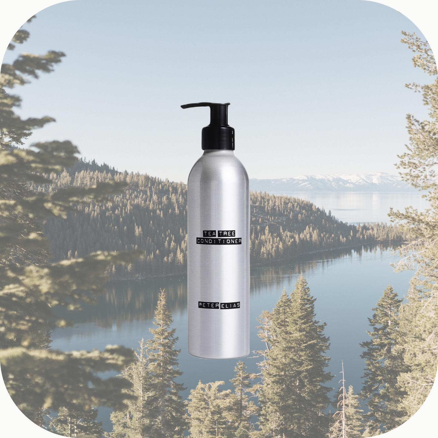 BALANCING CARE - Tea Tree Balsam