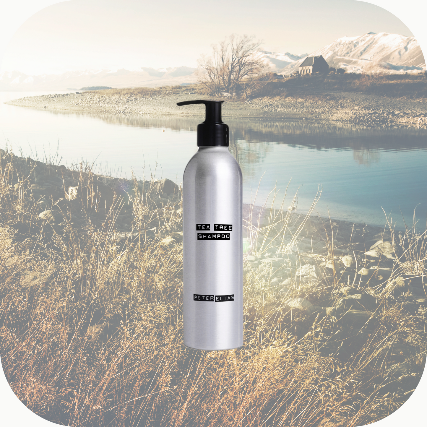 BALANCING CLEAN - Tea Tree Shampoo