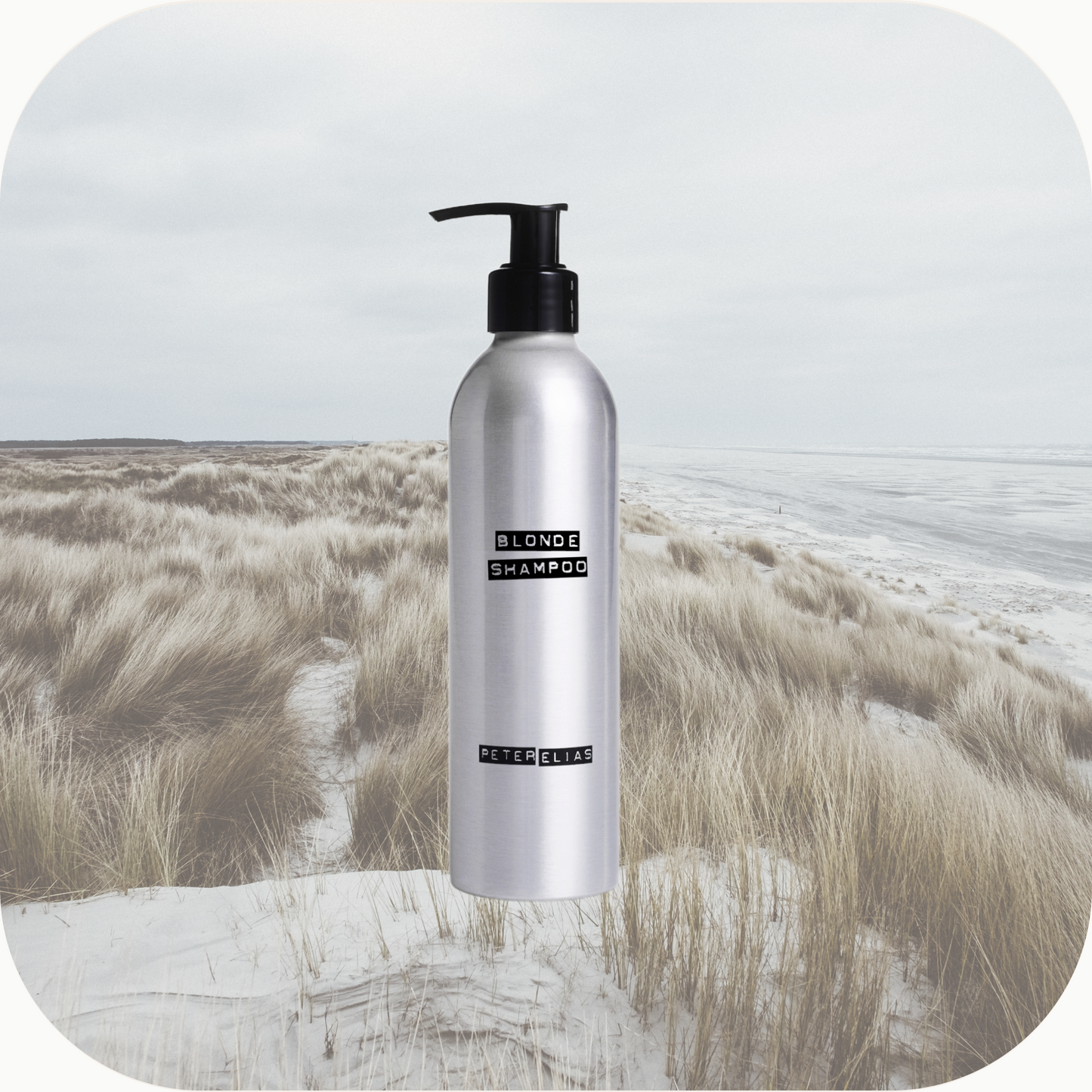 SILVER - Blonde/silver Shampoo